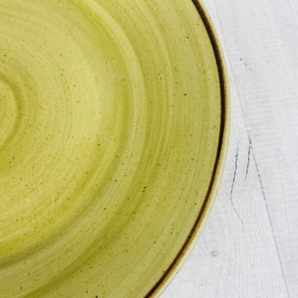 Thomson Pottery Green Swirl Speckle Brown Stoneware Dinner Plate Set of 4 - Picture 8 of 15